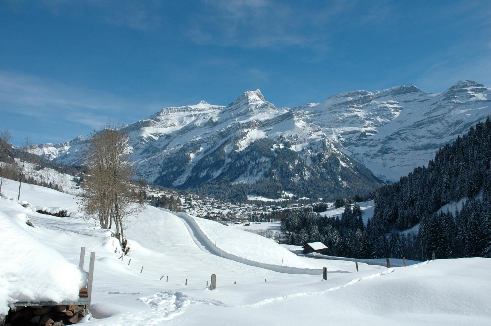 Historic Hotel Du Pillon Les Diablerets Exterior foto